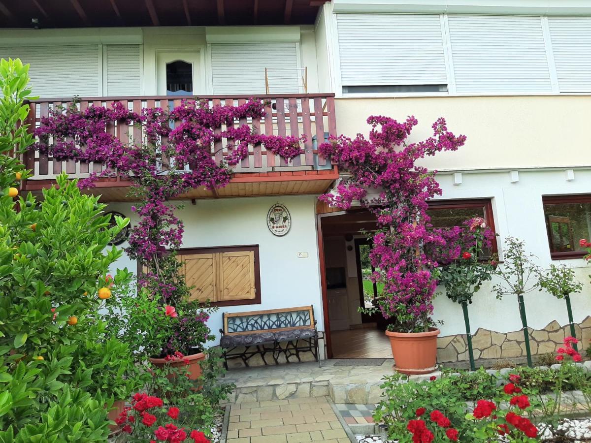 시글리게트 Rozsakert Vendeghaz B&B 외부 사진