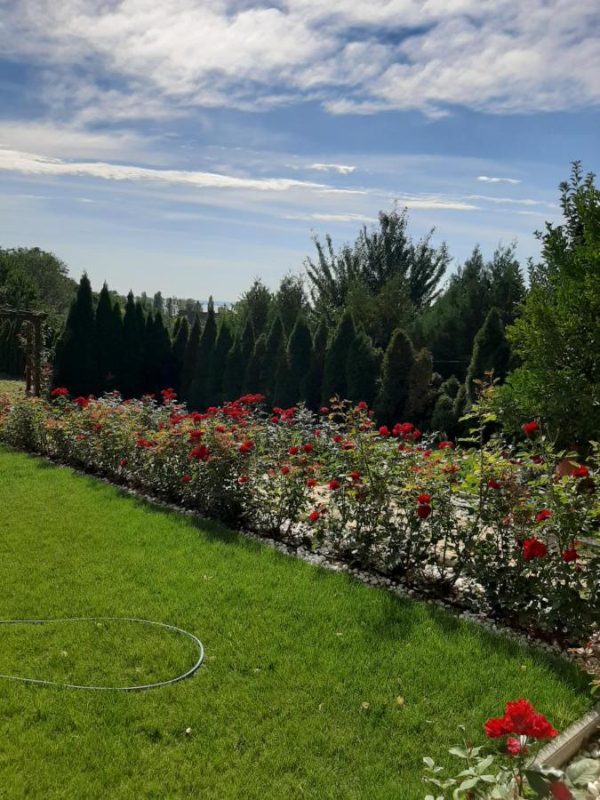 시글리게트 Rozsakert Vendeghaz B&B 외부 사진