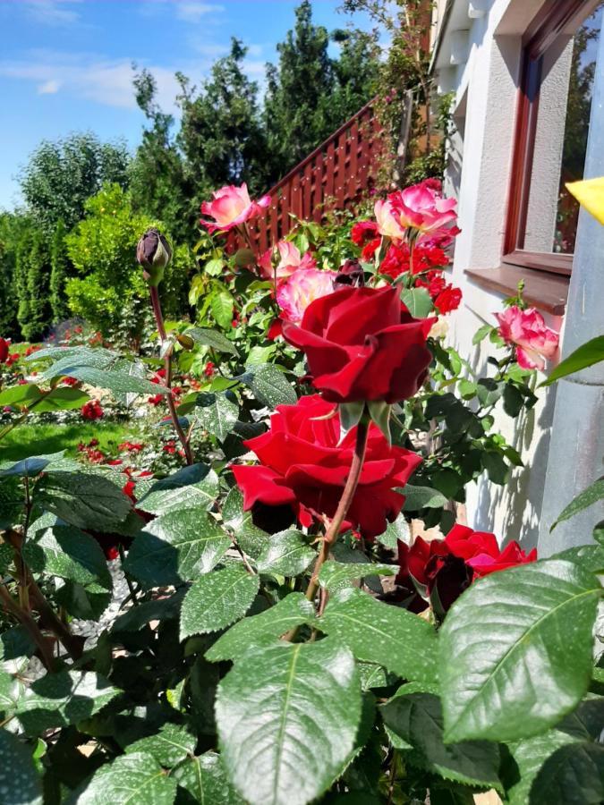 시글리게트 Rozsakert Vendeghaz B&B 외부 사진