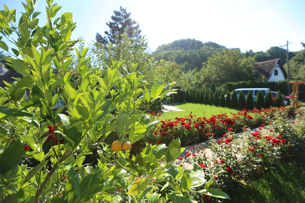시글리게트 Rozsakert Vendeghaz B&B 외부 사진